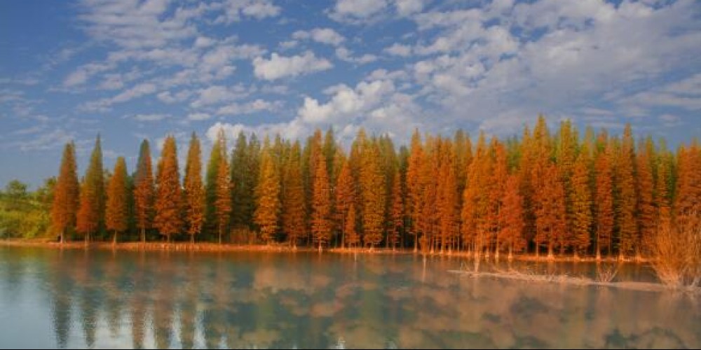 秋季旅游线路推荐