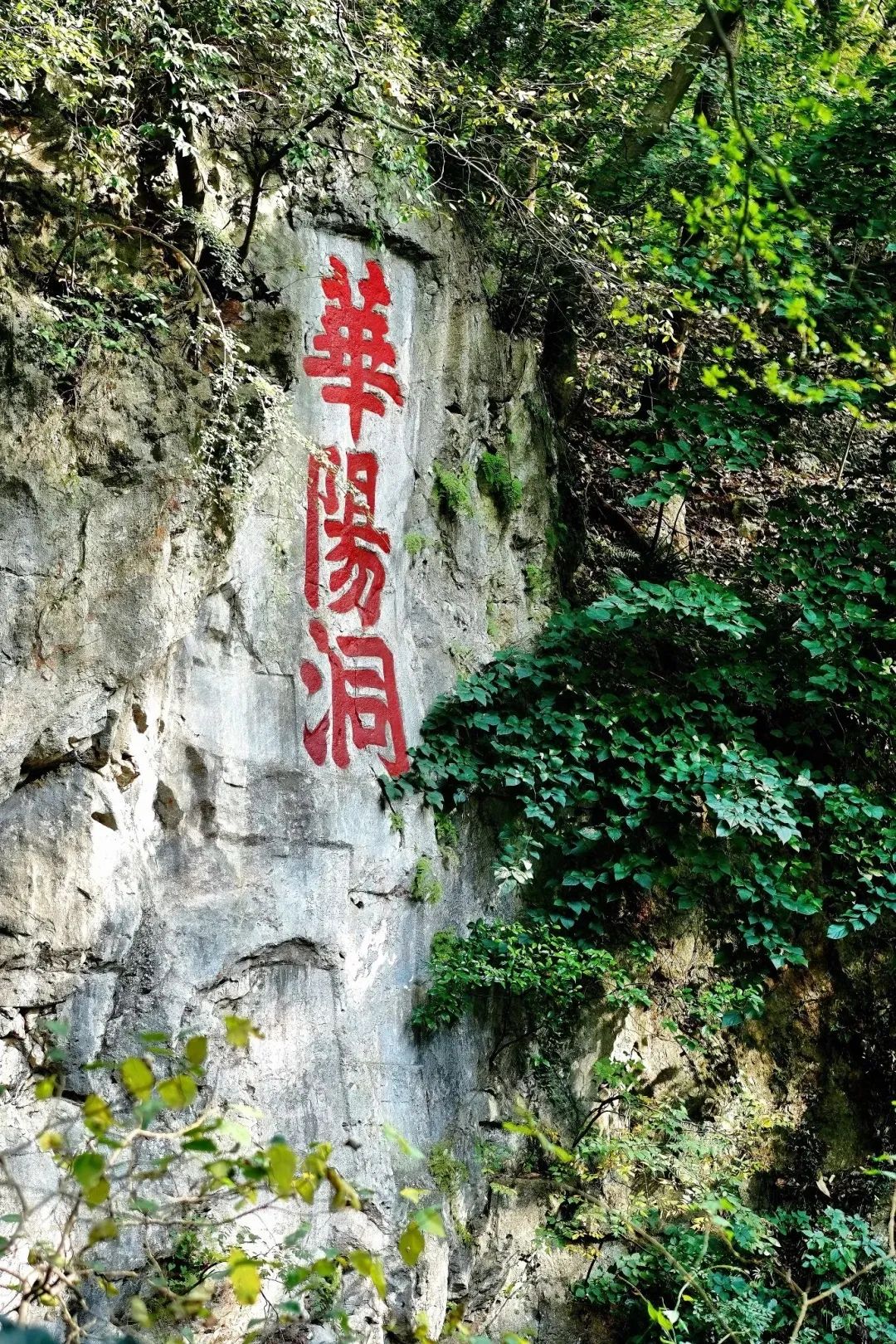 微信图片_20250614162314.jpg