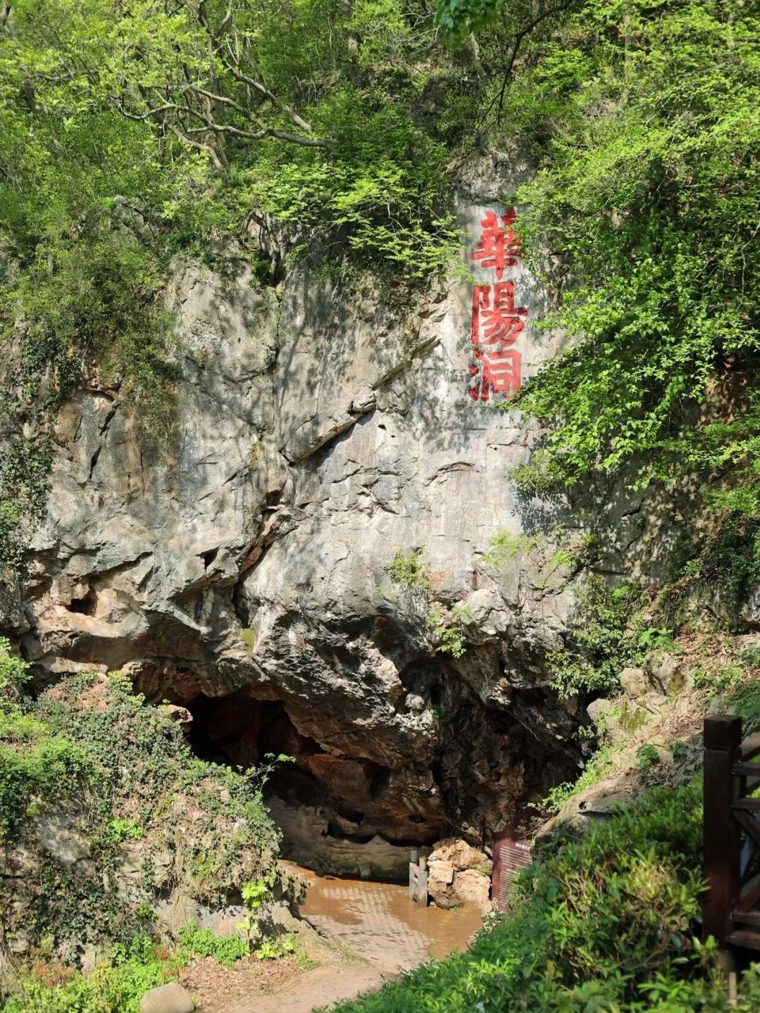 微信图片_20250718195819.png