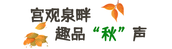 白露节气GIF动图文章标题(3).png
