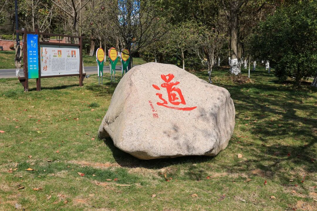 微信图片_2025-10-22_184724_486.jpg