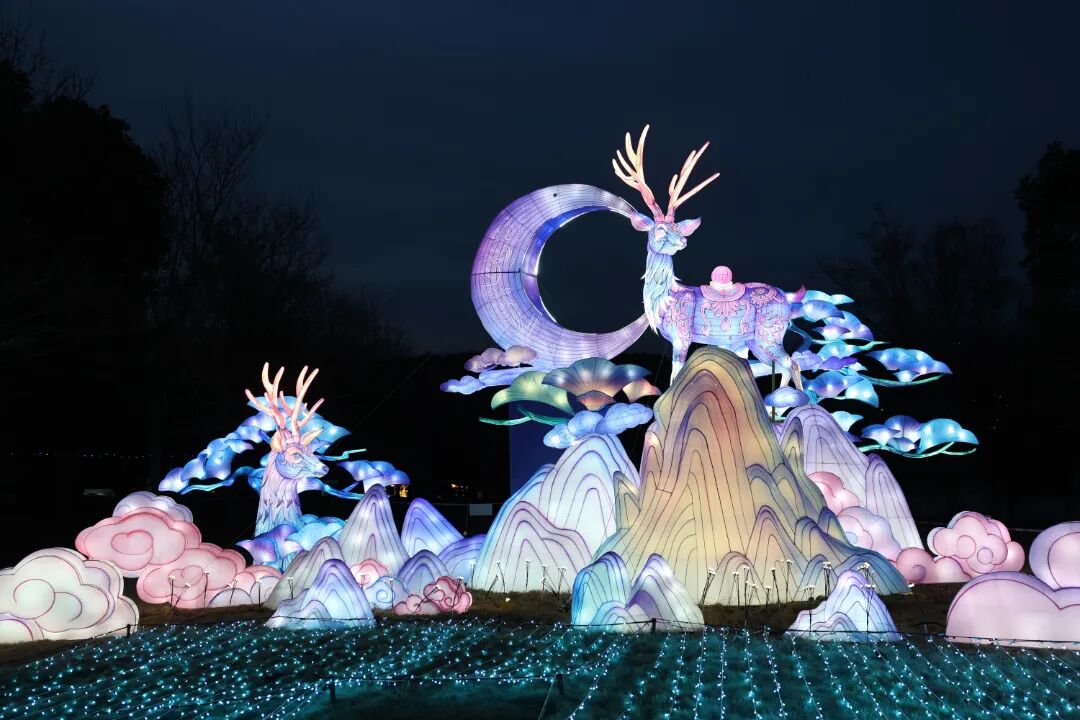 2026-02-18 181123.jpg