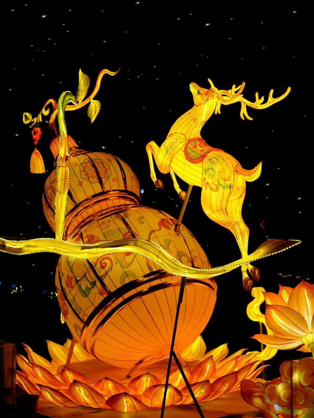 retouch_2026021500484651.jpg
